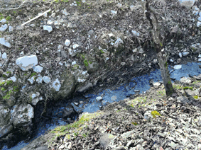 P2_STANJE PRED IZVEDBO.gif